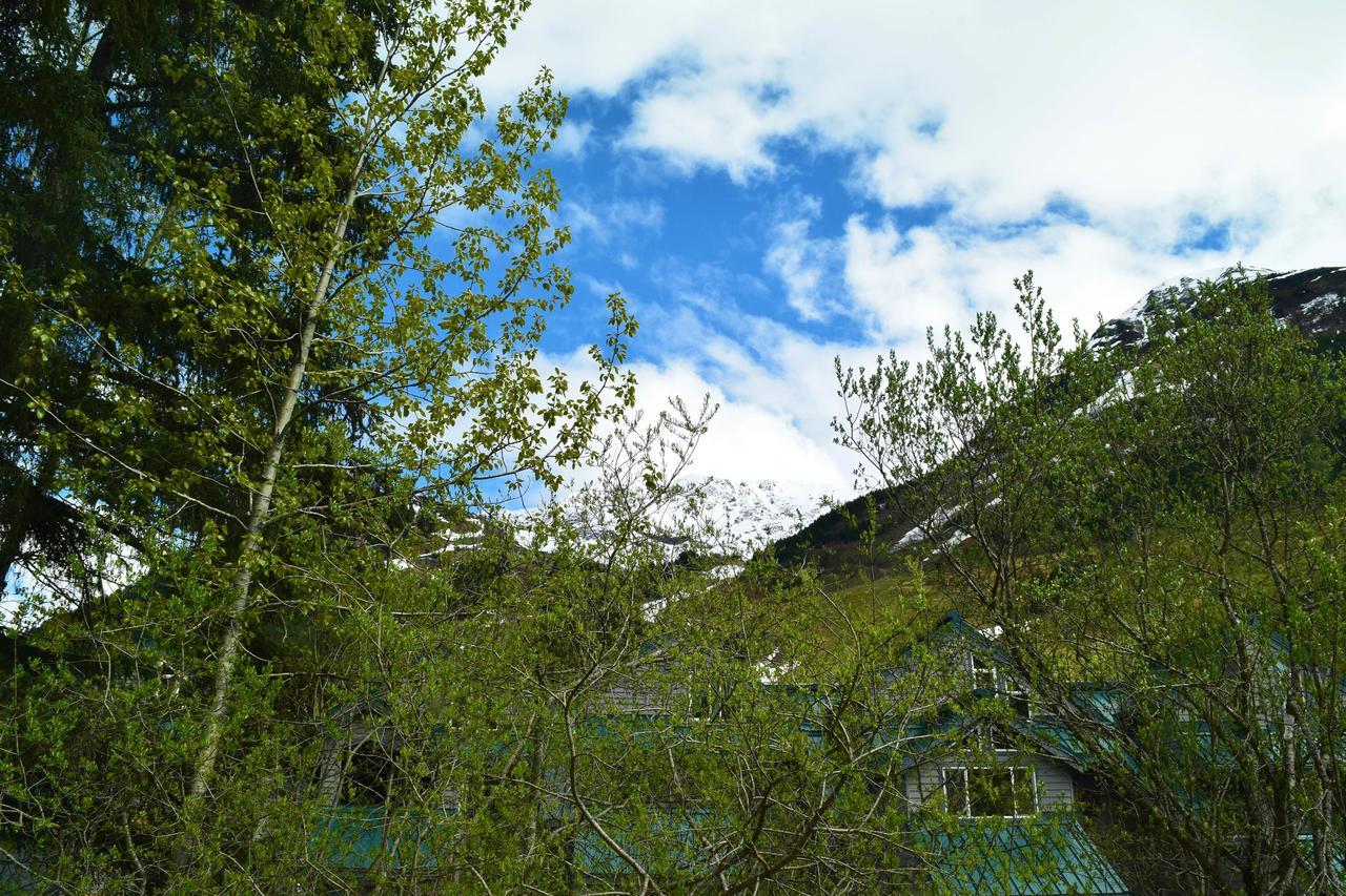 Snowbird Chalet #5 ガードウッド エクステリア 写真